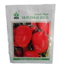 Tomato NS 629 (Namdhari)